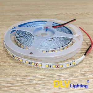 LED dây giá siêu rẻ - vàng